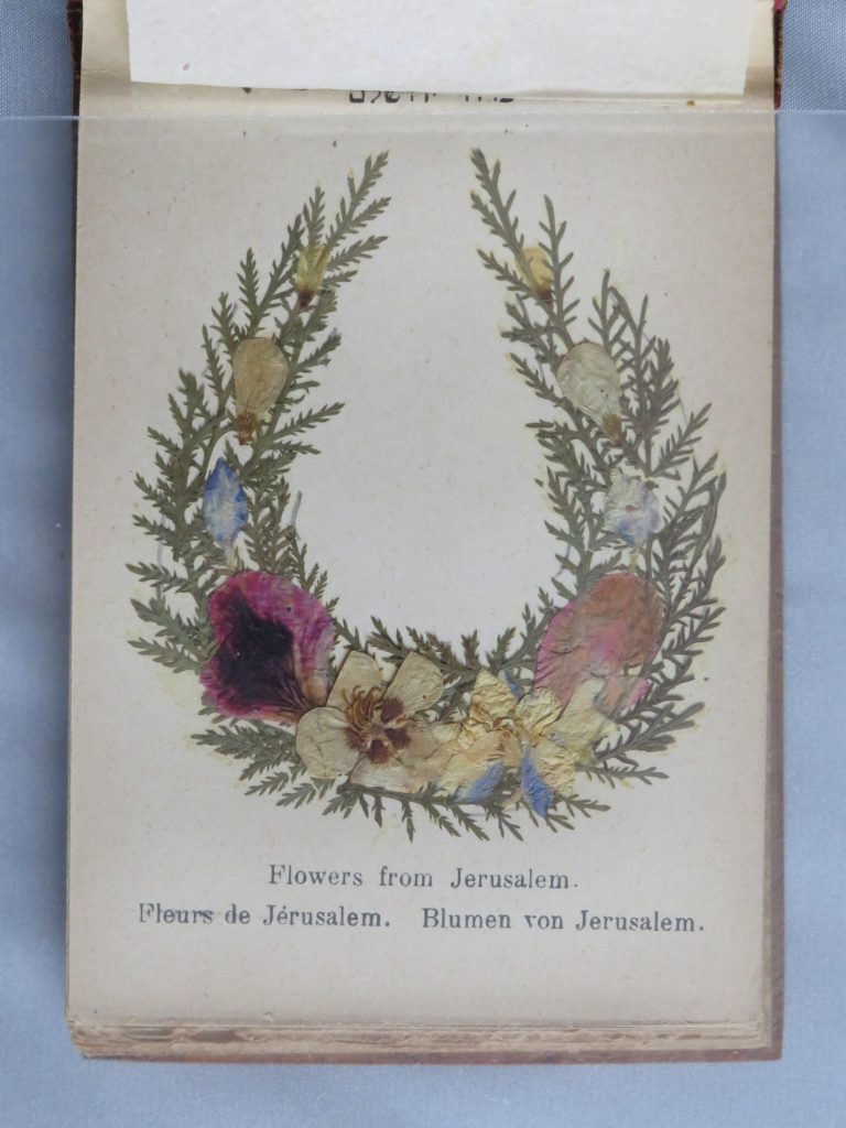 Colour image of page from Jerusalem, a small volume of pressed flowers from Holy Land sites